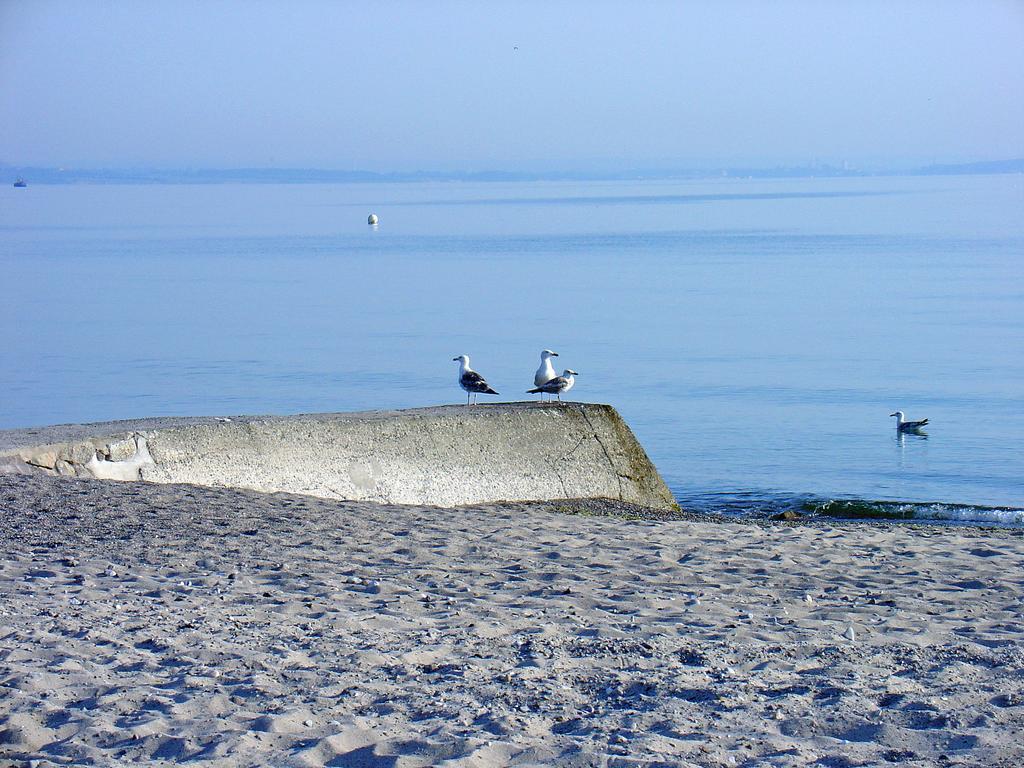 Fewo Machedanz Am Hafen Timmendorfer Strand Ot Niendorf Экстерьер фото